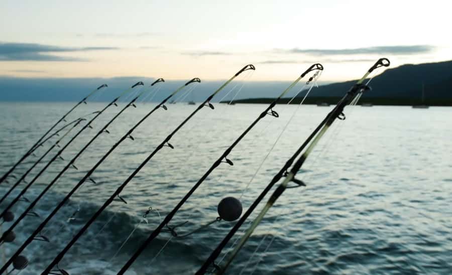 Cairns: Great Barrier Reef Fishing Charter with Lunch - Who this charter suits best (and who may not love it)