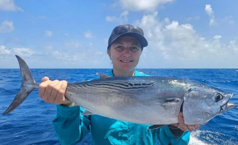 Cairns: Great Barrier Reef Fishing Charter with Lunch - Small drawbacks to plan for: travel time and changing conditions