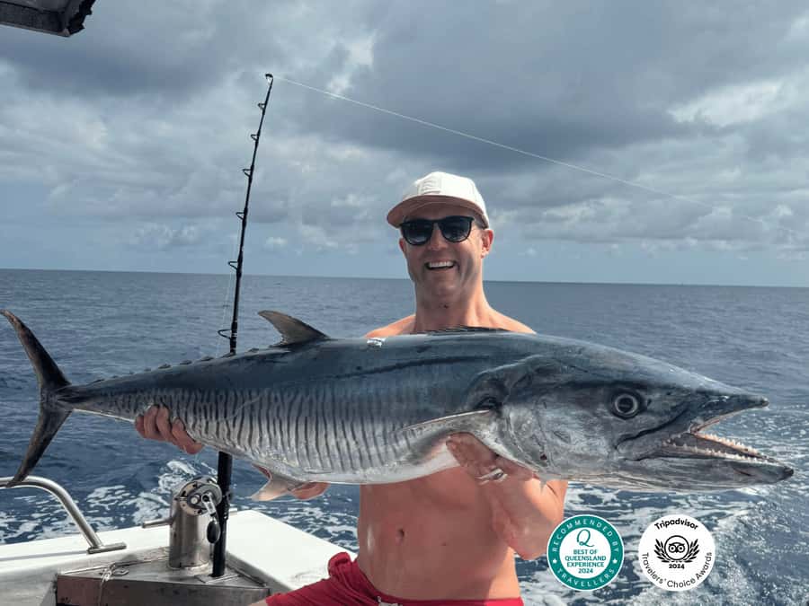 Cairns: Great Barrier Reef Fishing Charter with Lunch - The 6:00 AM check-in at The Pier Café (and why being punctual pays)