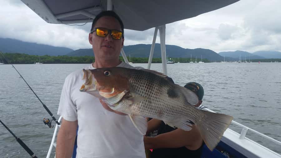 Cairns: Morning Estuary Fishing Charter - The river-boat portion: getting set up on the water