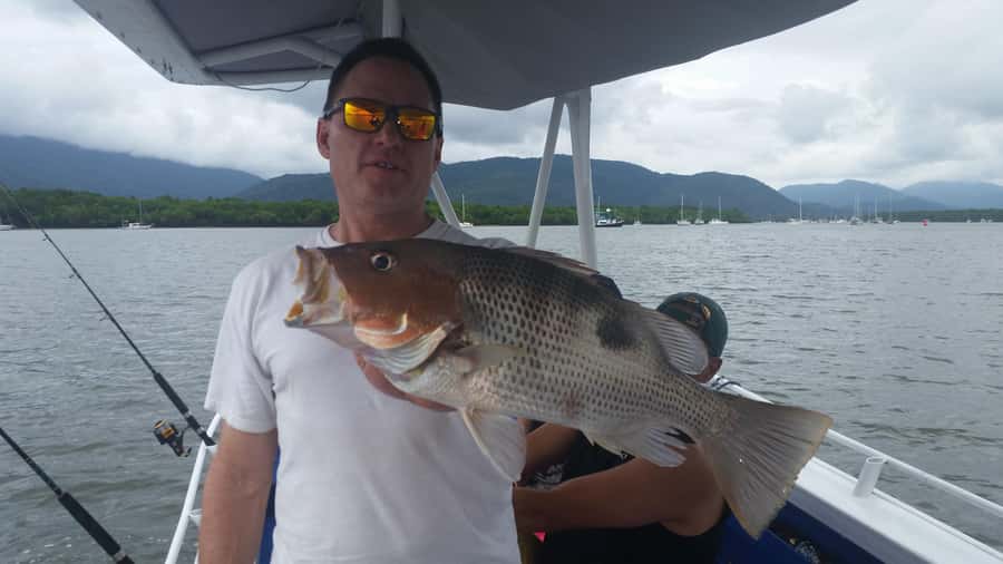 Cairns: Morning Estuary Fishing Charter - Species you might catch: a realistic menu, not a promise