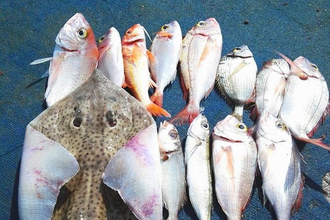 Capri Fishing Excursion with Snorkeling and Lunch from Sorrento - From Sorrento to Capri: Why This Fishing + Snorkeling Day Makes Sense