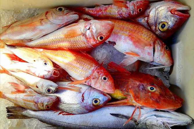 Capri Fishing Excursion with Snorkeling and Lunch from Sorrento - The 8:00am Start, Pickup Spot, and How the Day Flows