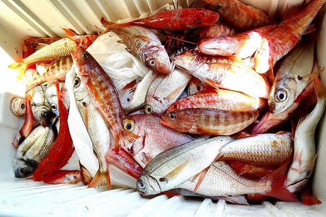 Capri Fishing Excursion with Snorkeling and Lunch from Sorrento - Price and Value: Is $251.66 Worth It?