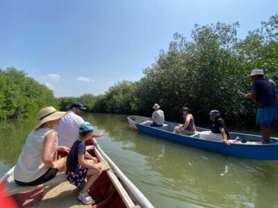 Cartagena: Mangrove Eco Tour & Fishing with Transportation - Price and value: what $55 buys you in real-world time