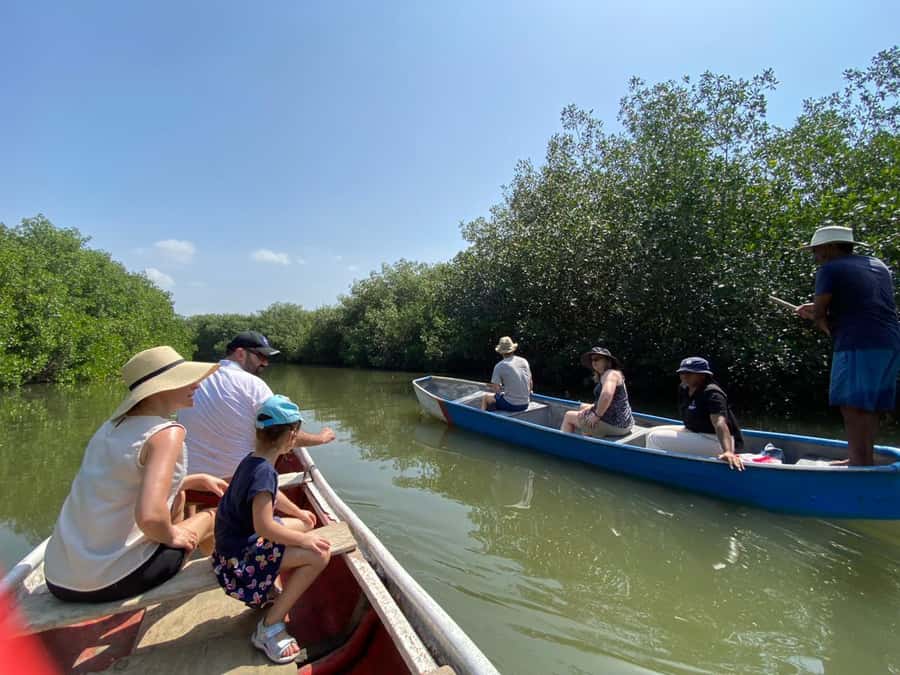 Cartagena: Mangrove Eco Tour & Fishing with Transportation - Price and value: what $55 buys you in real-world time