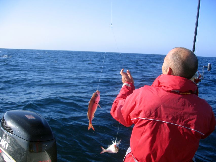 Cascais Deep-Sea Fishing Trip - Cascais Deep-Sea Fishing from the Marina: the real appeal
