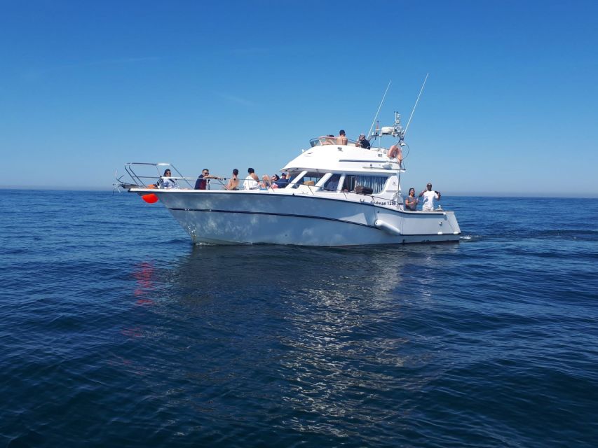 Cascais Deep-Sea Fishing Trip - The ocean has the final say: weather, seasickness, and adjustments