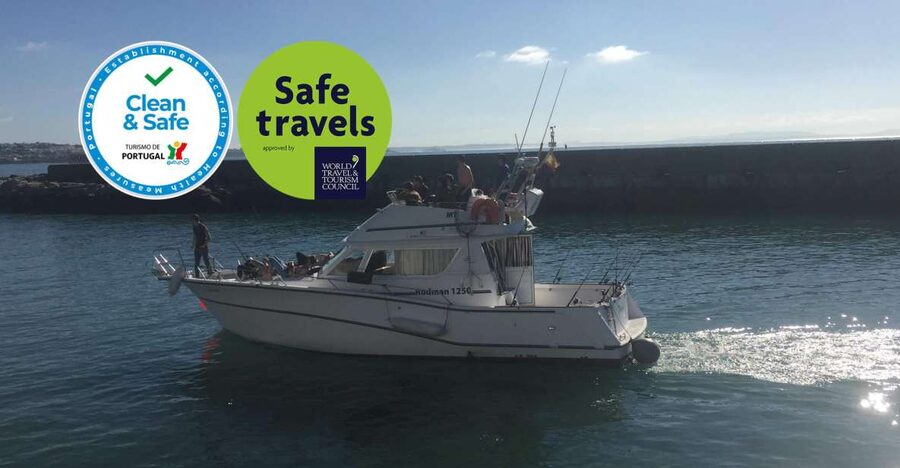 Cascais Deep-Sea Fishing Trip - Finding the right boat at Cascais Marina (without stress)