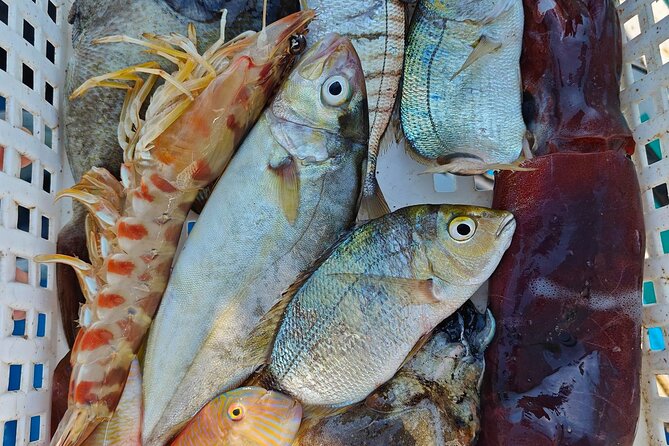 Cefalu: Boat Trip with Fishing, Coastal Tour and Lunch on Board - Boat Trip With Fishing: The Cefalù Coast, Up Close