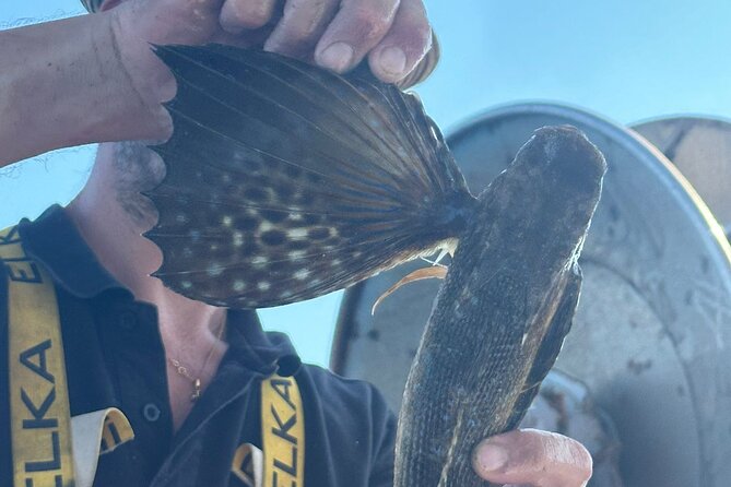 Cefalu: Boat Trip with Fishing, Coastal Tour and Lunch on Board - Lunch On Board: Catch of the Day, Fish Pasta, and Local Drinks