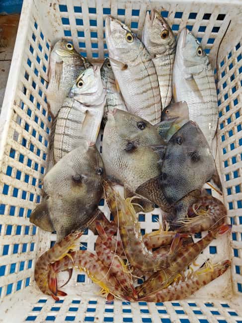 Cefalù: boat trip with fishing, coastal tour, snorkeling, and lunch on board - Cefalù Coast Tour Cruising: Views With a Working-Boat Pace