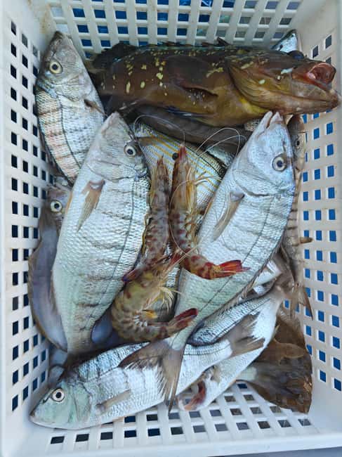 Cefalù: boat trip with fishing, coastal tour, snorkeling, and lunch on board - Group Size, Boat Setup, and Comfort Reality Check