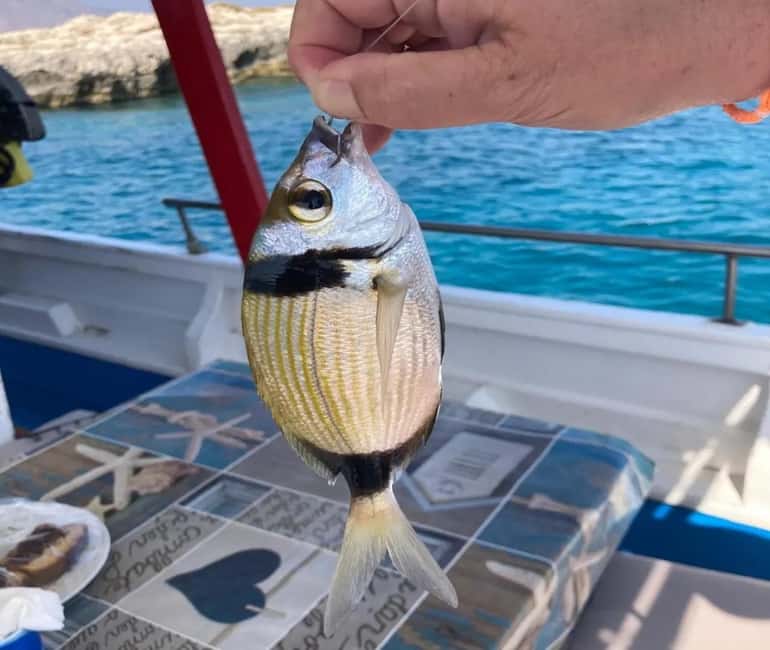 Chania: Fishing Boat Trip with Breakfast and Swim - The small group feel: how you get personalized attention