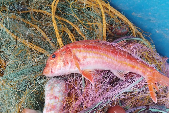 Chania Fishing with Nets Catch and Cook with a Local Fisherman - Net fishing with a local crew, not a staged boat show