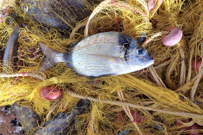 Chania Fishing with Nets Catch and Cook with a Local Fisherman - Swimming in a private cove: the relaxing part you’ll plan for