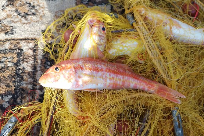 Chania Fishing with Nets Catch and Cook with a Local Fisherman - What the price gets you, and why it can feel fair