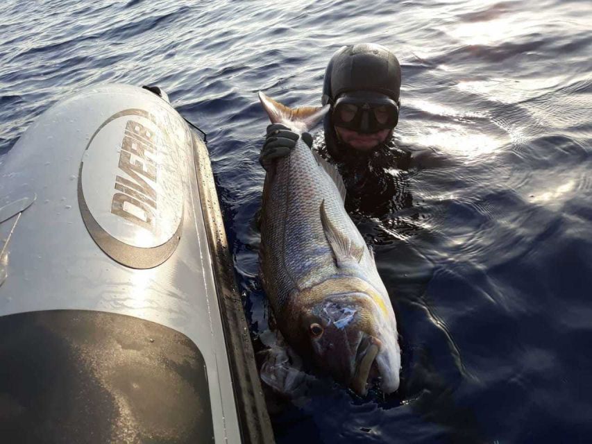Chania: Private Boat Fishing Trip - Price and Value: $621 for Up to 4 People