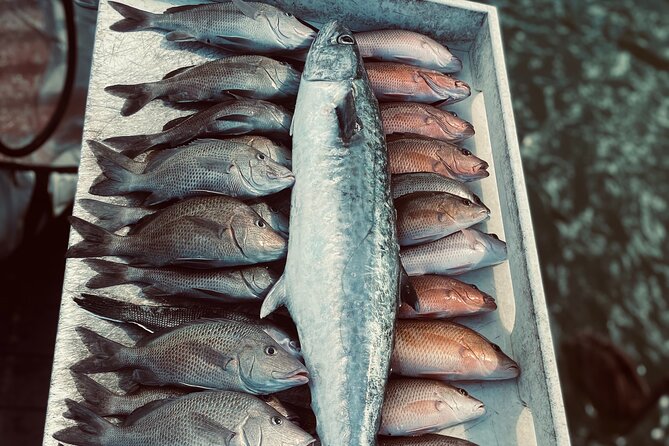 Clearwater Beach Fishing Charter! Half Day of Fishing Fun on the water!!!!! - Price and Value: How $700 Per Group Really Works