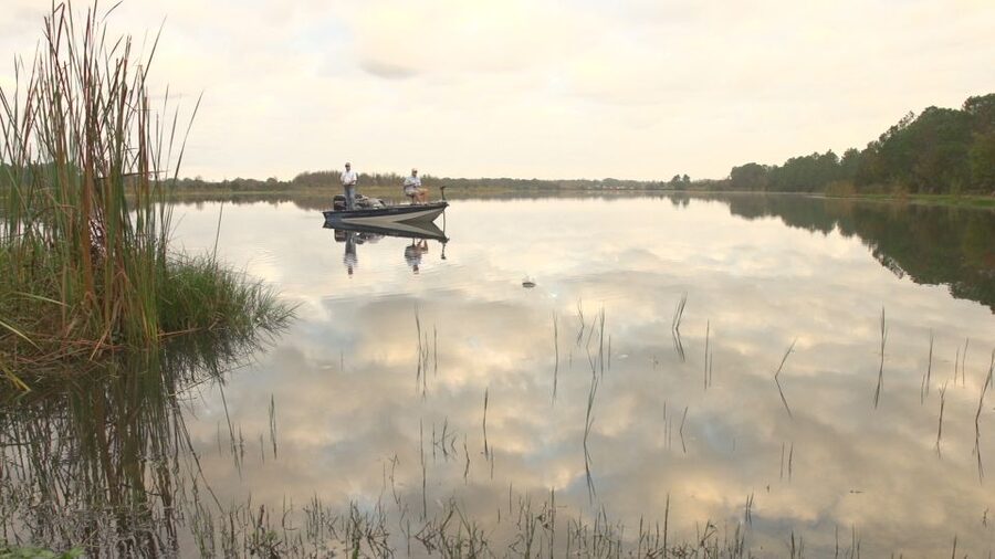 Clermont: Trophy Bass Fishing Experience with Expert Guide - How the catch-photo-release moment works and the 10 lb Wall of Fame goal