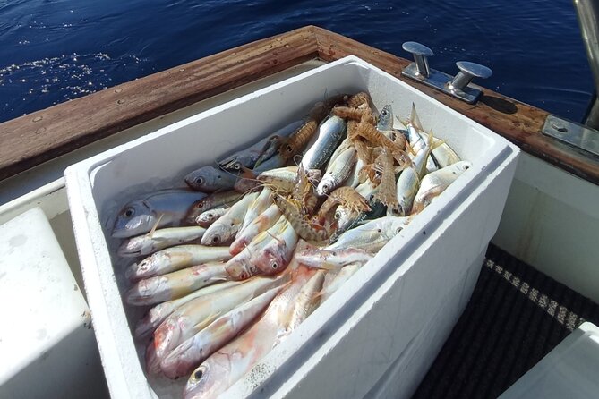 Corfu Private Fishing Cruises - Returning by Corfu Old Fortress: A Sea View You Can’t Get From the Streets
