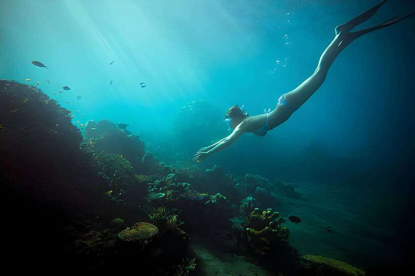 Da Nang: Son Tra Peninsula Exploration - Snorkeling, Fishing - Snorkeling the Coral Gardens: What You’ll Actually Do in the Water