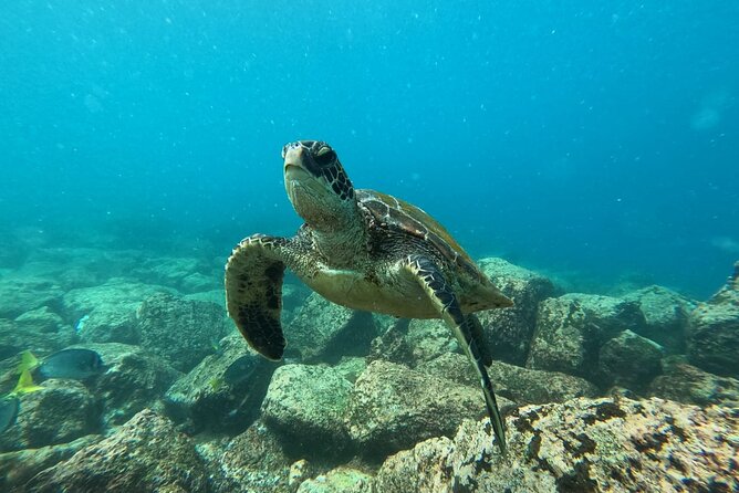Day Tour to Floreana Island with Snorkeling and Fishing - Where This Floreana Day Trip Fits in the Galápagos