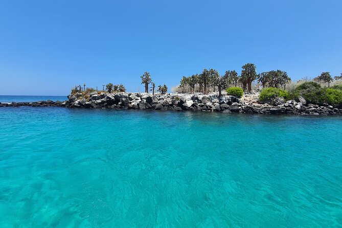 Day Tour to Santa Fe Island and Hidden Beach with snorkeling and fishing - From Puerto Ayora to Santa Fe: the timing that keeps it relaxed