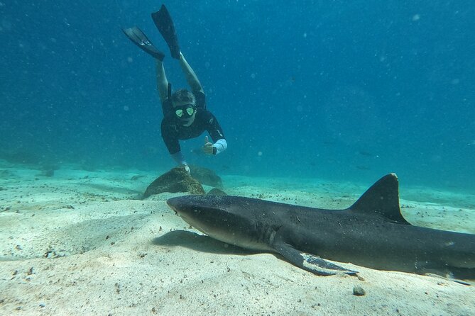 Day Tour to Santa Fe Island and Hidden Beach with snorkeling and fishing - Wildlife you can actually plan around: turtles, rays, and sharks
