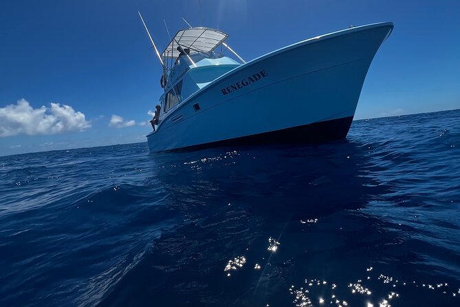 Deep Sea Exclusive Fishing Charter in Honolulu - What you do on the water: the rhythm of offshore fishing