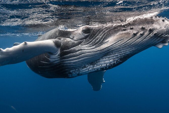 DEEP SEA FISHING 1/2 day (private group) - What you’ll actually do with the fishing gear
