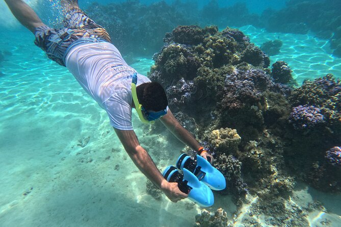 DEEP SEA FISHING 1/2 day (private group) - Who should book this Tahiti deep-sea fishing trip