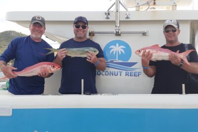 Deep Sea Fishing - 3/4 Day - Targeting the Waters: Reef Shoals, Wrecks, and Pelagics