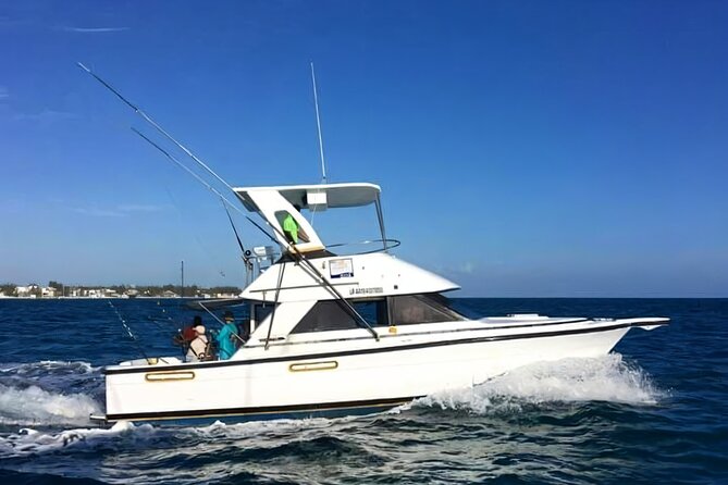 Deep sea fishing in Punta Cana and Bávaro. - Jellyfish Beach, then lines in the water