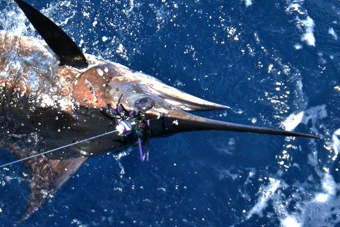 Deep Sea Fishing Private Boat Charter in San Juan - Price Breakdown: Is $947.75 Worth It?