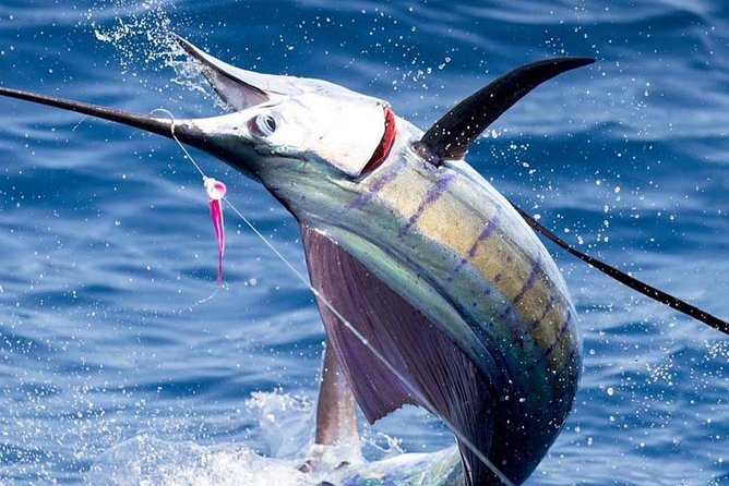 Deep Sea Fishing (Street Food and Beer Included) - Key Things To Know Before You Go