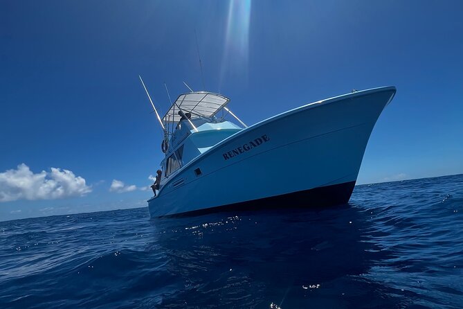 Deep Sea Shared Fishing Charter in Honolulu - Pricing and value: $314.14 for a small-group offshore shot