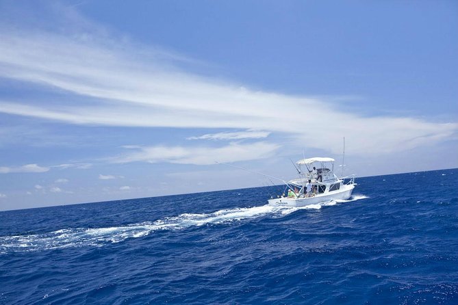 Deep Sea Sport Fishing From Montego Bay - Entering the Scene: Montego Bay, Yacht Club, and a Real Fishing Start