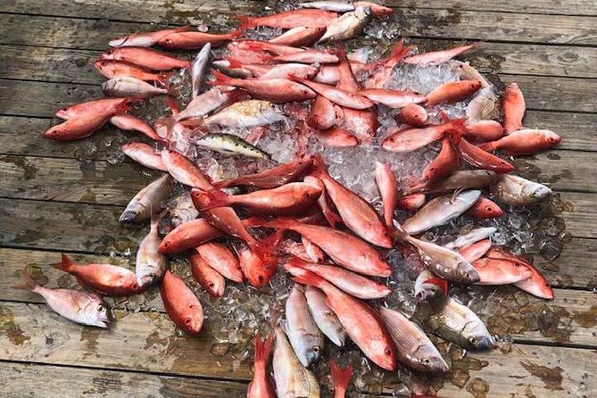 Destin: Party and Walk-On Fishing trip - The crew’s role: from hook help to fish cleaning