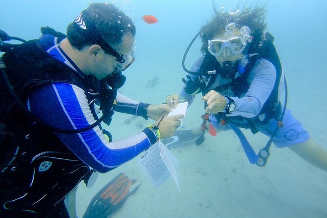Discover Scuba Diving from a Fishing Village - Price and Value at $138: What You’re Really Paying For