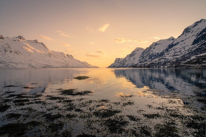 Discover the Fjords of Kvaloya - a roadtrip along fjords and fishing villages - Kvaløya Island fjords and fishing villages: where the best photo moments come from