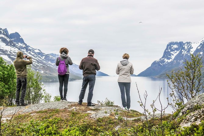 Discover the Fjords of Kvaloya - a roadtrip along fjords and fishing villages - Ersfjordbotn at the Ersfjord: the lunch stop that feels local