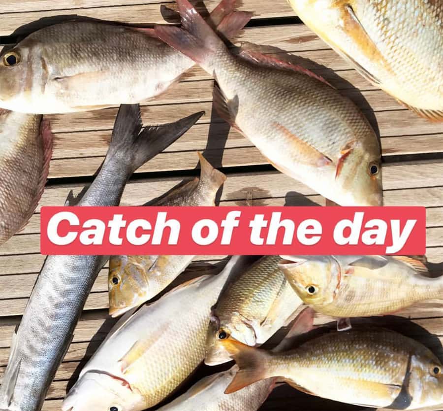 Dubai: 4-Hour Private Deep Sea/Trolling Fishing Trip - Dubai coastline views: the real bonus when you’re not stuck on land