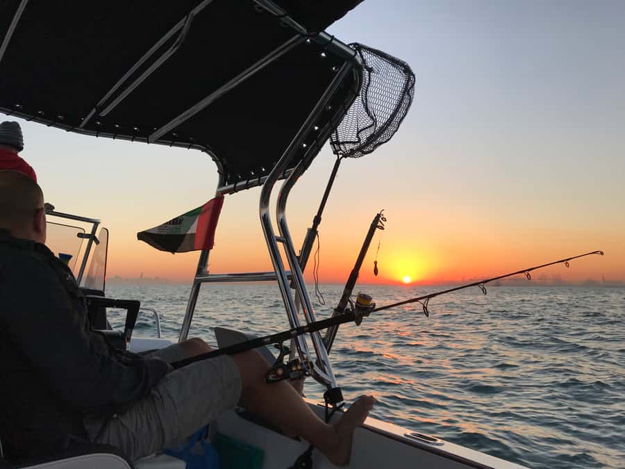 Dubai: 4-Hour Private Deep Sea/Trolling Fishing Trip - Price and value: $505 per group up to 6 people