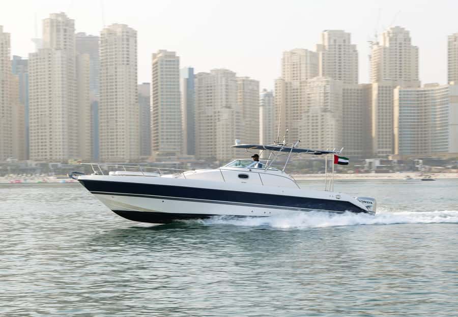 Dubai: Fishing Trip with Equipment and Crew - Choosing Between Private and Sharing Cruises: The Social Math