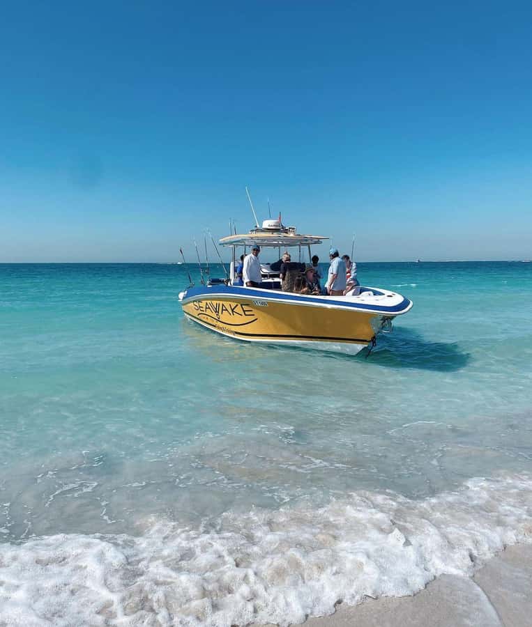 Dubai's BEST Fishing Charter – No Fish, No Pay! - Price and value: is $680 for up to 6 fair?