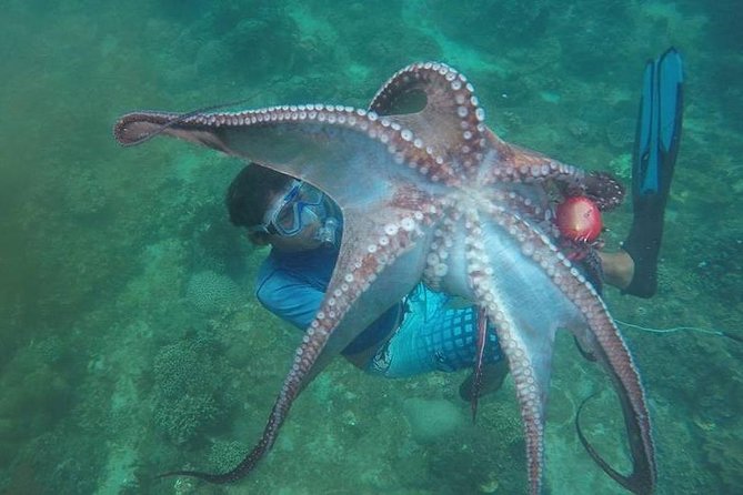 East Bali Spear Or Line Fishing Tour At Virgin Beach - Key things to know before you fish at Virgin Beach