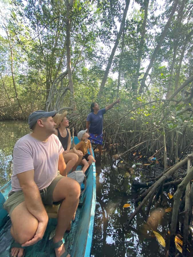 El Paredón: Mangrove Boat Tour with Optional Fishing - Key highlights worth planning around