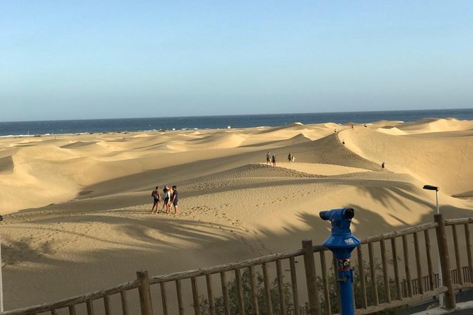 Electric Bike Panoramic South Coast Tour Optional Fishing Tapas - Stop 3: Botanical Park of Maspalomas (quick plant spotting)