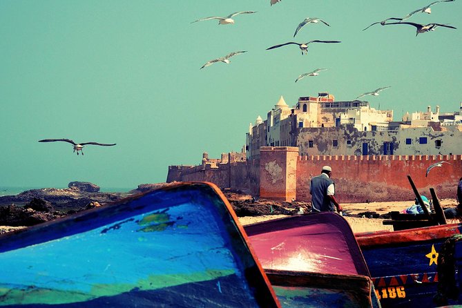 Essaouira The Small Fishing Harbor - From Marrakech to Essaouira in one smooth, guided day